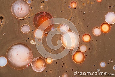 Colorful circles on a brown background made of natural colors. Mixed watercolors and oils. Natural dynamic background. Stock Photo