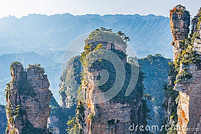 Zhangjiajie Forest Park. Stock Photo