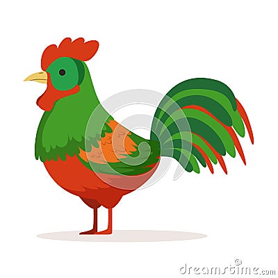 Colorful cock, poultry breeding vector Illustration Vector Illustration