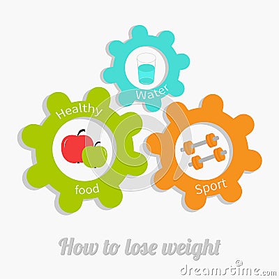 Colorful cogwheel gear set with water, apple, dumbell. Healthy lifestyle concept. How to lose weight Flat design Vector Illustration