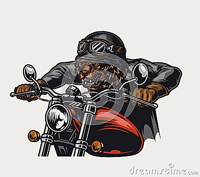 Colorful cruel grizzly head biker Vector Illustration