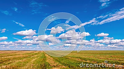 Colorful cumulus clouds in a bright blue sky over a freshly mown field stretching beyond the horizon. Bright background Stock Photo