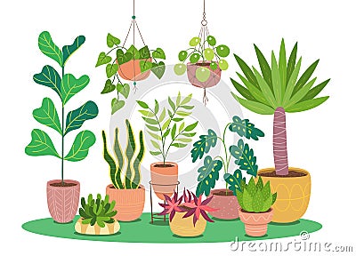 Colorful decorative potted plants background Vector Illustration