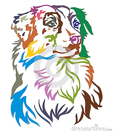 Colorful decorative portrait of Dog Australian shepherd vector i Vector Illustration