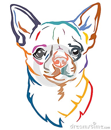 Colorful decorative portrait of Dog Chihuahua vector illustration Vector Illustration