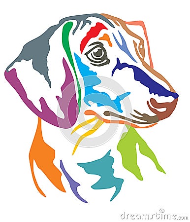 Colorful decorative portrait of Dog Dachshund vector illustratio Vector Illustration