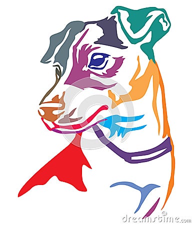 Colorful decorative portrait of Dog Jack Russell Terrier vector Vector Illustration