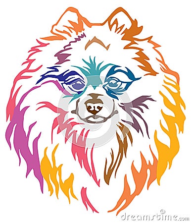 Colorful decorative portrait of Dog Pomeranian Spitz vector illustration Vector Illustration