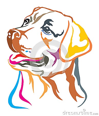 Colorful decorative portrait of Labrador Retriever vector illustration Vector Illustration