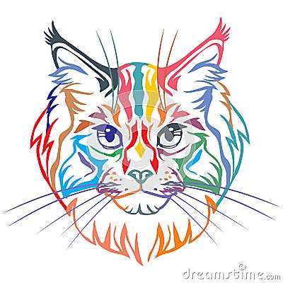 Colorful decorative portrait of Maine Coon Cat vector illustration Vector Illustration