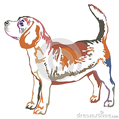 Colorful decorative standing portrait of beagle vector illustration Vector Illustration