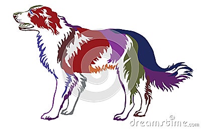 Colorful decorative standing portrait of dog border collie Vector Illustration