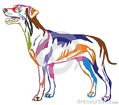 Colorful decorative standing portrait of dog German Pinscher st Vector Illustration