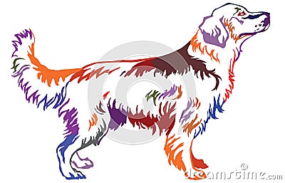 Colorful decorative standing portrait of dog golden retriever Vector Illustration