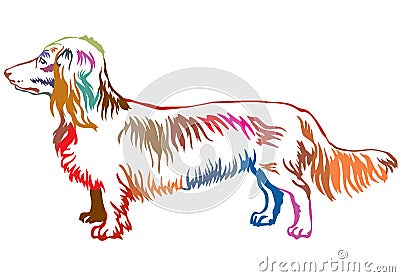 Colorful decorative standing portrait of dog Long-haired Dachshund vector illustration Vector Illustration