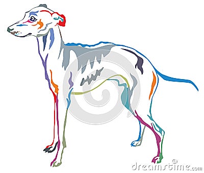 Colorful decorative standing portrait of Italian Greyhound vector illustration Vector Illustration