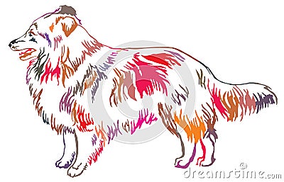 Colorful decorative standing portrait of Sheltie vector illustration Vector Illustration