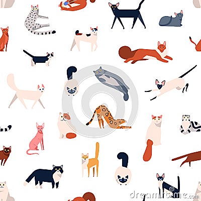 Colorful different cat breeds seamless pattern isolated on white background. Various domestic animal playing, sitting Vector Illustration