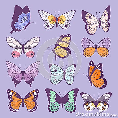 Colorful different summer colorfull butterfly wings vector top view illustration isolated on background. Vector Illustration