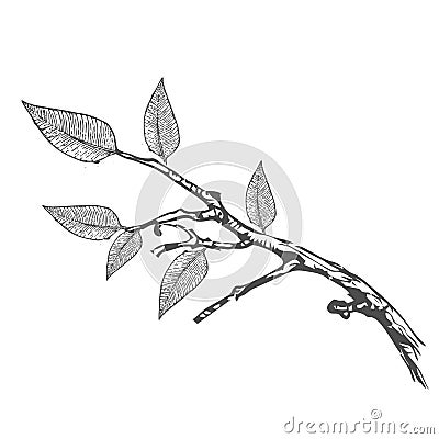Colorful digital leaf tree company logo and icon Vector Illustration