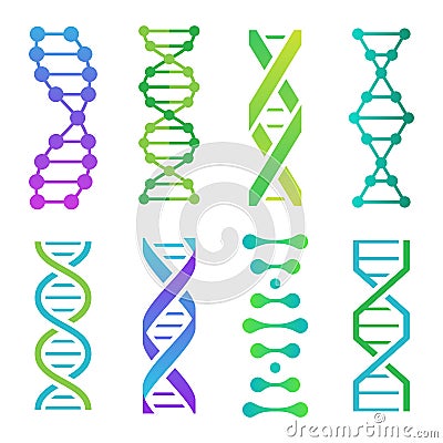 Colorful DNA icons. Spiral molecule structure for scientific research. Human genetic code with information Vector Illustration