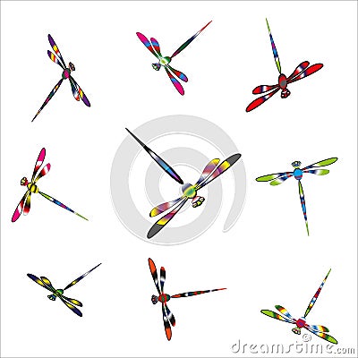 Colorful dragonflies Vector Illustration