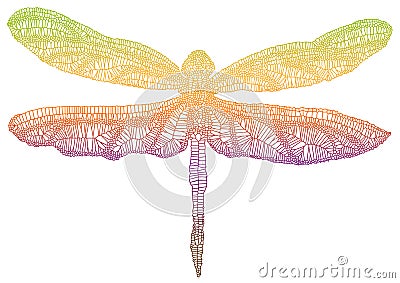Colorful dragonfly Vector Illustration