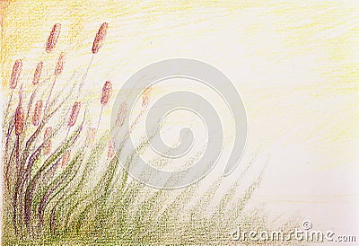 Colorful drawind of reeds on abstract spotted background Stock Photo