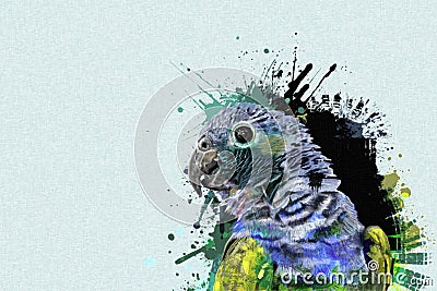 Colorful drawing of common parrot in oil Stock Photo