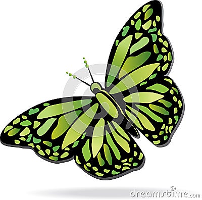 Colorful dream butterfly Stock Photo