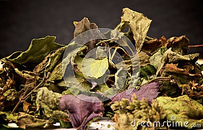 Colorful dried patchouli flowers and leaves Stock Photo
