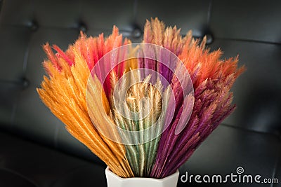 Colorful dry glass flower Stock Photo