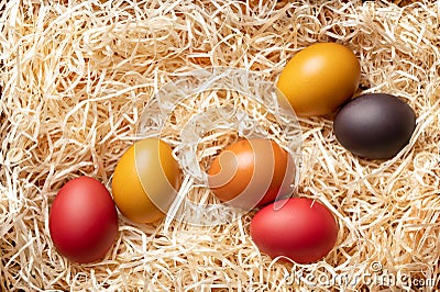 Colorful dyed Easter eggs, Paschal eggs in a wood wool nest, from above Stock Photo