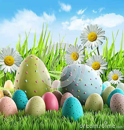 Colorful Easter eggs with daisies Stock Photo