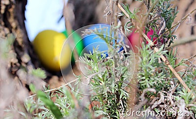 Easter eggs on the green grass Stock Photo