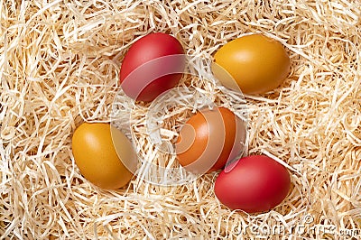 Colorful Easter eggs, colorful dyed Paschal eggs in a nest of wood wool Stock Photo