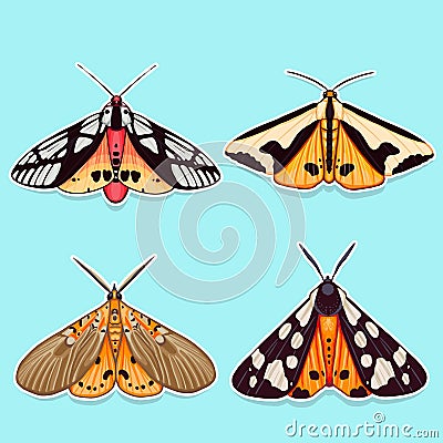 Colorful exotic vector moth entomologic collection Vector Illustration