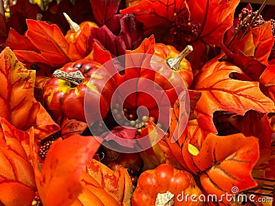 Colorful Fall Leaves Background - Add Autumn Text Stock Photo