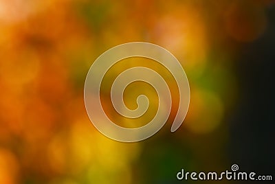 Colorful Fall Leaves Blurred Background to use as a design element with copy space. It`s horizontal but can be vertical Stock Photo