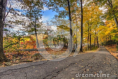 Colorful fall scenery landscapes. Stock Photo