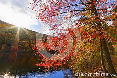 Colorful fall scenery landscapes. Stock Photo
