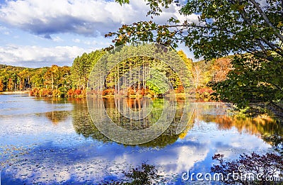 Colorful fall scenery landscapes. Stock Photo