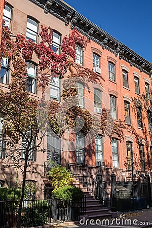 Colorful fall sidewalk scene in the Greenwich Village neighborhood of Manhattan, New York City Stock Photo