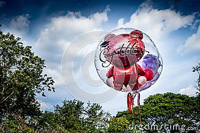 Colorful of fancy balloons Stock Photo