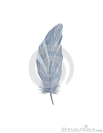 Colorful fancy bird feathers watercolor illustration boho style decorative wings for creative rustic design, wedding invitation, Cartoon Illustration