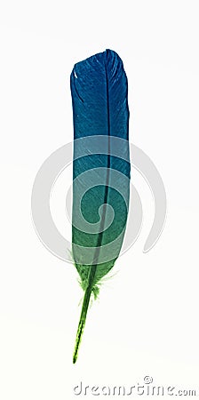 Colorful feather Stock Photo