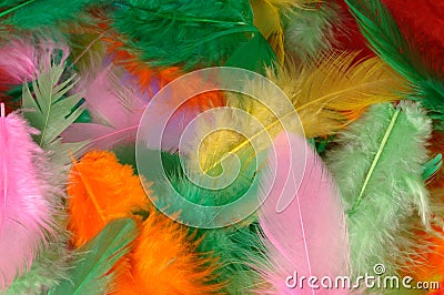 Colorful Feathers Stock Photo