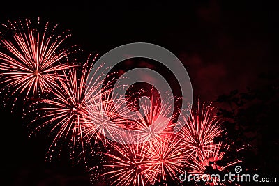 Colorful fireworks in the night sky Stock Photo