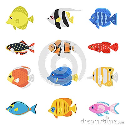Colorful fish flat style vector set. Vector Illustration