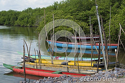 Colorful fishing canoes docked on the river bank Stock Photo